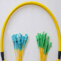 12 Fiber LC/APC to SC/UPC Patch Cord OS2 9/125 Singlemode
