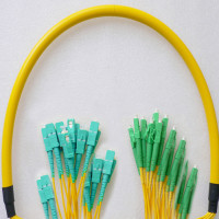 24 Fiber LC/APC to SC/UPC Patch Cord OS2 9/125 Singlemode