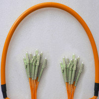 8 Fiber LC/UPC to LC/UPC Patch Cord OM1 62.5/125 Multimode