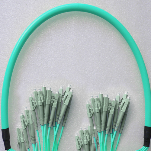 24 Fiber LC/UPC to LC/UPC Patch Cord OM4 50/125 Multimode