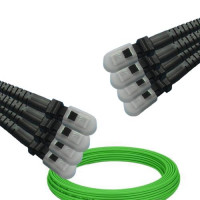 8 Fiber MTRJ/UPC to MTRJ/UPC Patch Cord OM5 50/125 Multimode