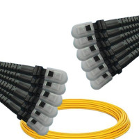 12 Fiber MTRJ/UPC to MTRJ/UPC Patch Cord OS2 9/125 Singlemode