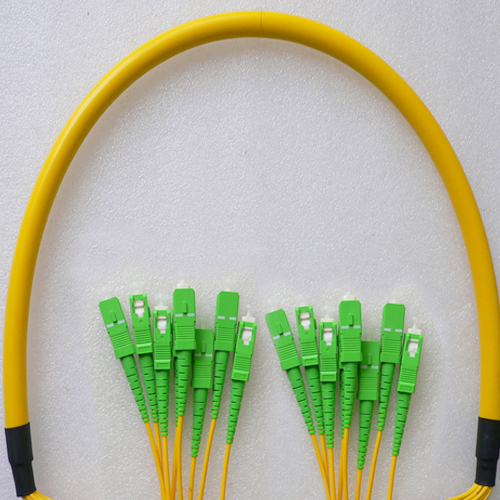 8 Fiber SC/APC to SC/APC Patch Cord OS2 9/125 Singlemode