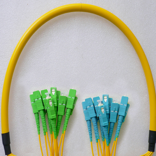 12 Fiber SC/APC to SC/UPC Patch Cord OS2 9/125 Singlemode