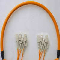 6 Fiber SC/UPC to SC/UPC Patch Cord OM1 62.5/125 Multimode