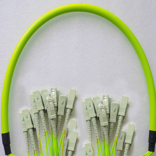 24 Fiber SC/UPC to SC/UPC Patch Cord OM5 50/125 Multimode