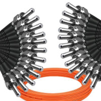 12 Fiber SMA905/UPC to SMA905/UPC Patch Cord OM1 62.5/125 Multimode