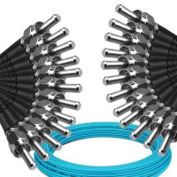 12 Fiber SMA905/UPC to SMA905/UPC Patch Cord OM3 50/125 Multimode