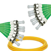 6 Fiber ST/APC to ST/APC Patch Cord OS2 9/125 Singlemode