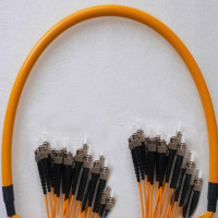 24 Fiber ST/UPC to ST/UPC Patch Cord OM2 50/125 Multimode