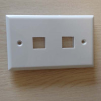 Wall Plate 2 Hole Wall Plate 120 Type Face Plate