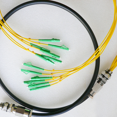 6 Fiber Waterproof Patch Cord LC/APC to LC/APC OS2 9/125 Singlemode